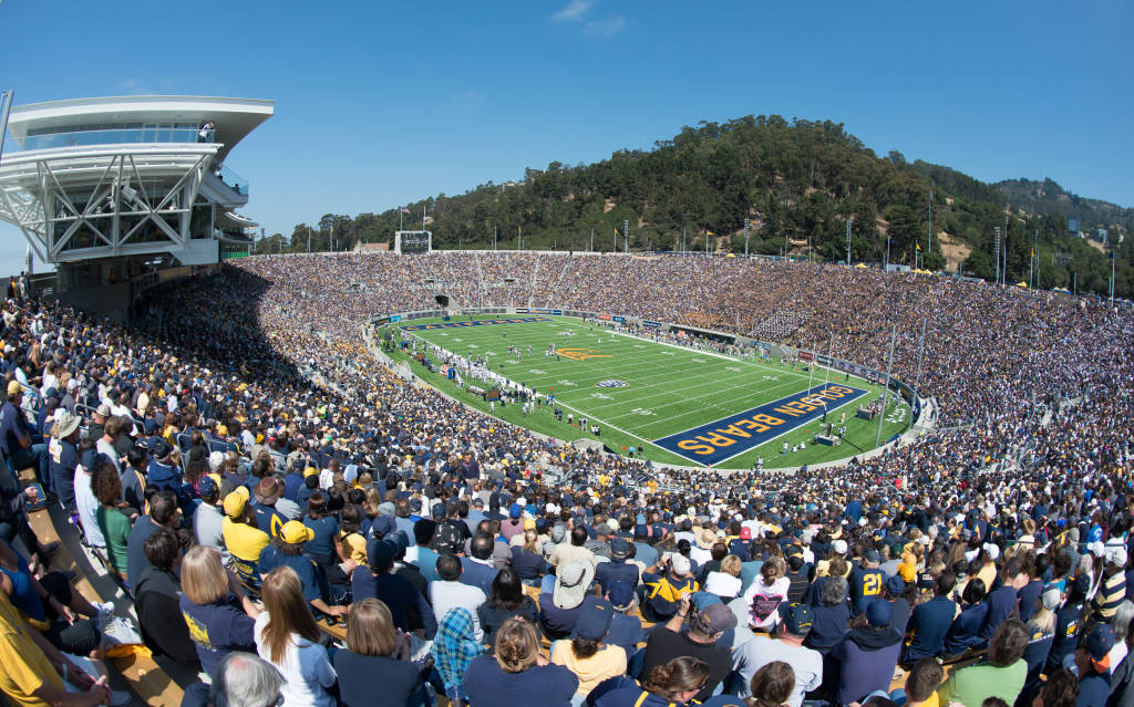 Go Bears!!!
